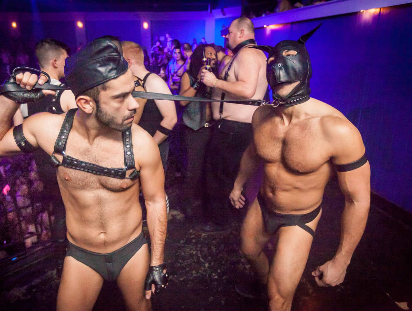 вечеринка геев смотреть онлайн фото 47